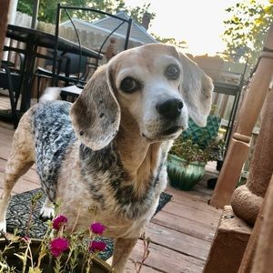 Meet your Posher, Krista